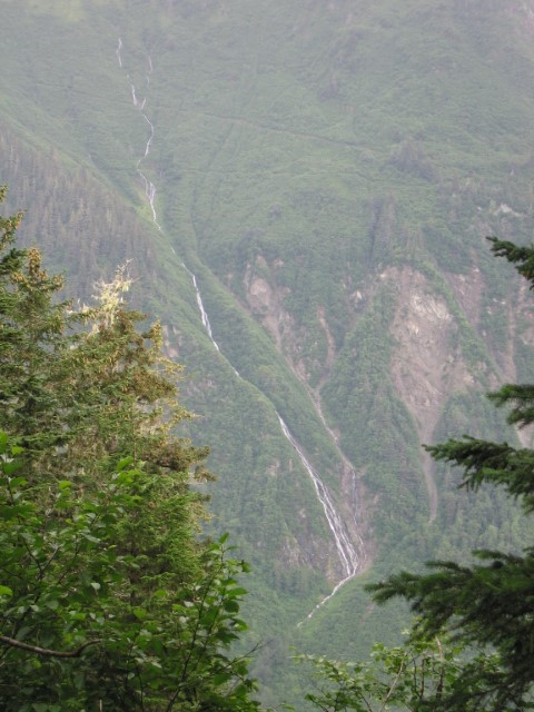 IMG_0224.JPG