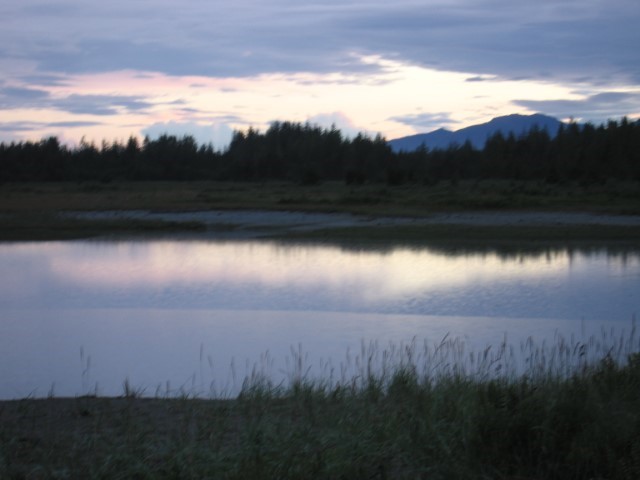 IMG_0247.JPG