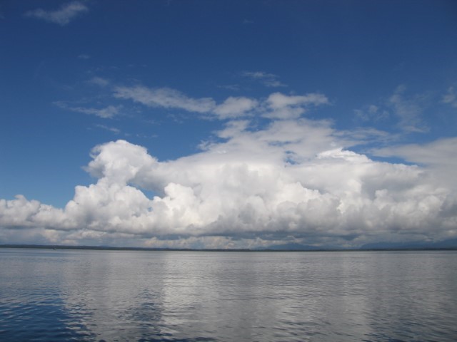 IMG_0287.JPG