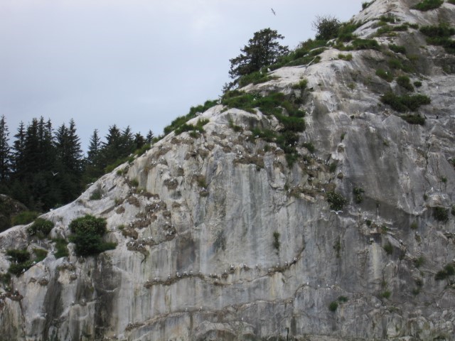 IMG_0340.JPG