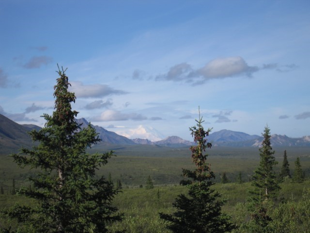 IMG_0428.JPG