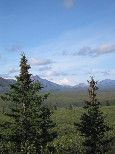 IMG_0429.JPG