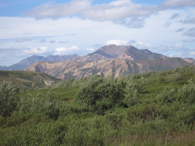 IMG_0441.JPG