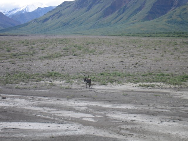 IMG_0447.JPG