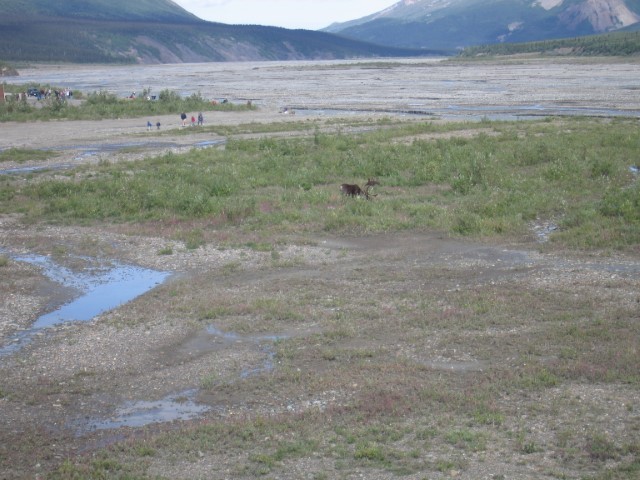 IMG_0451.JPG