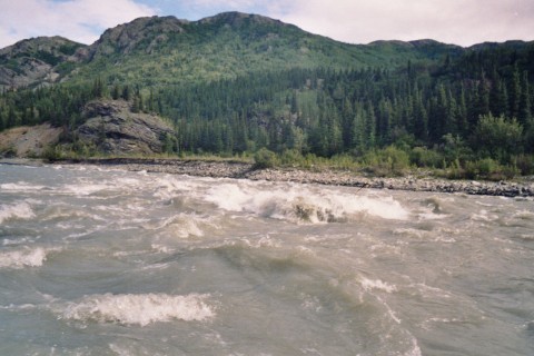 IMG_0453AK.jpg