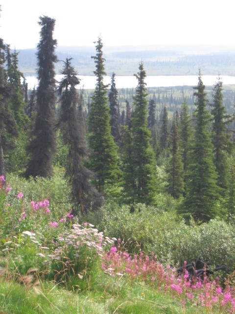 IMG_0608.JPG