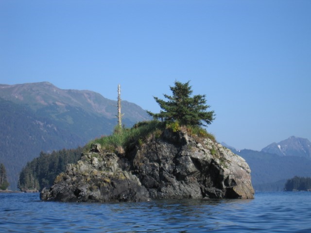 IMG_0685.JPG