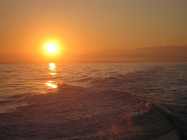 IMG_0707.JPG