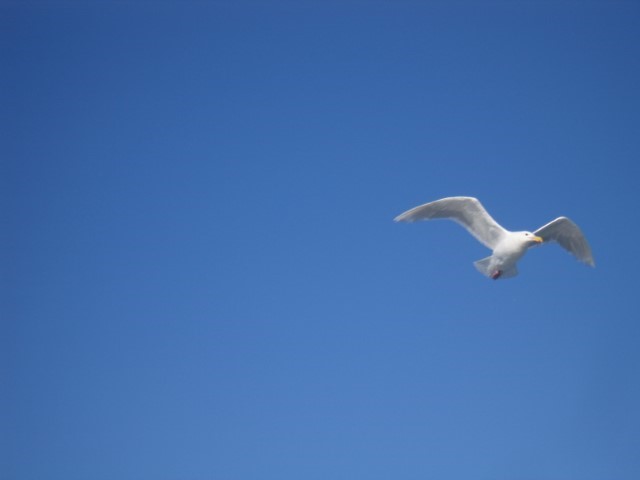 IMG_0723.JPG