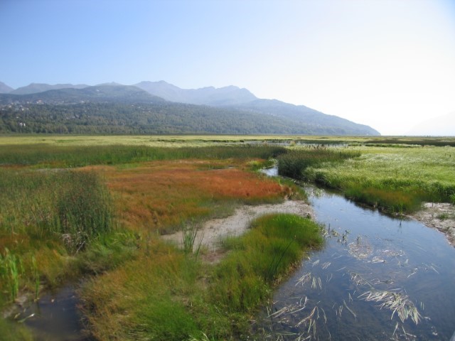 IMG_0740.JPG