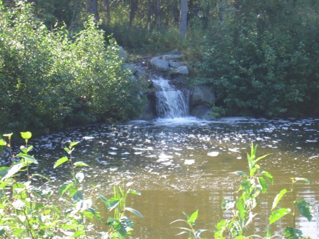IMG_0764.JPG