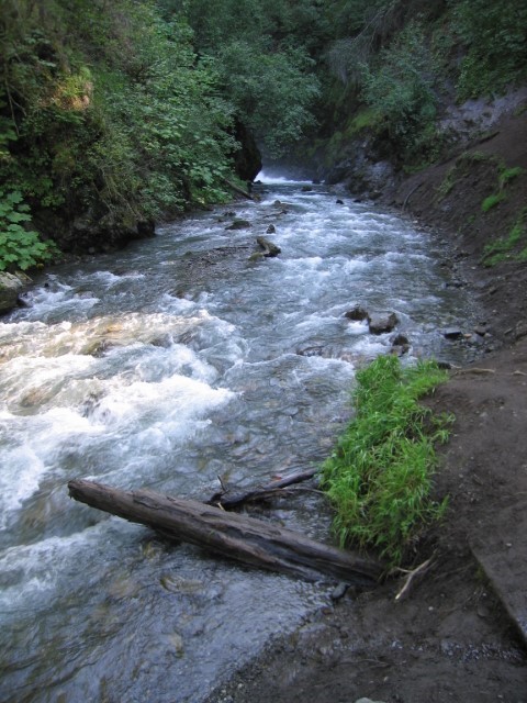 IMG_0777.JPG
