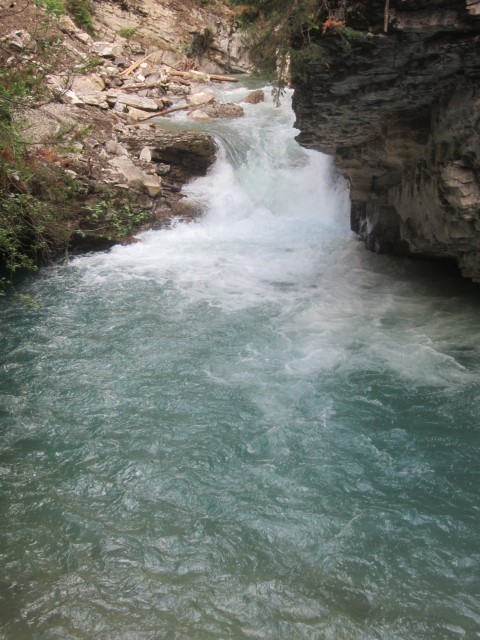 IMG_5206.JPG