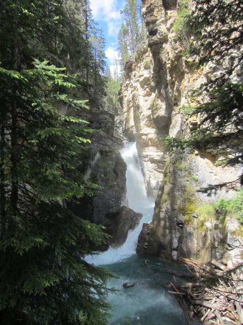 IMG_5209.JPG