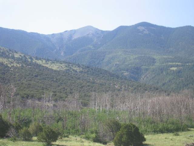 IMG_2640.JPG