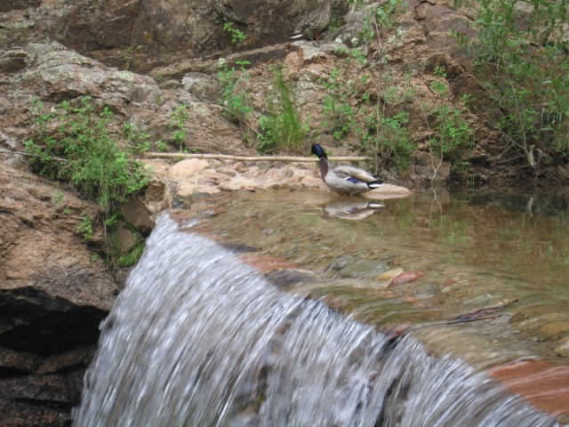 IMG_2689.JPG