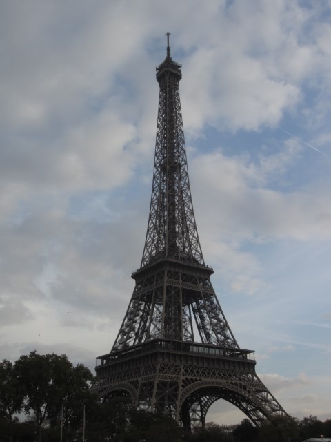 IMG_3519.JPG