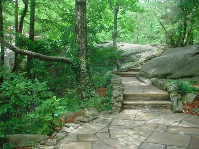 DSC00004.JPG