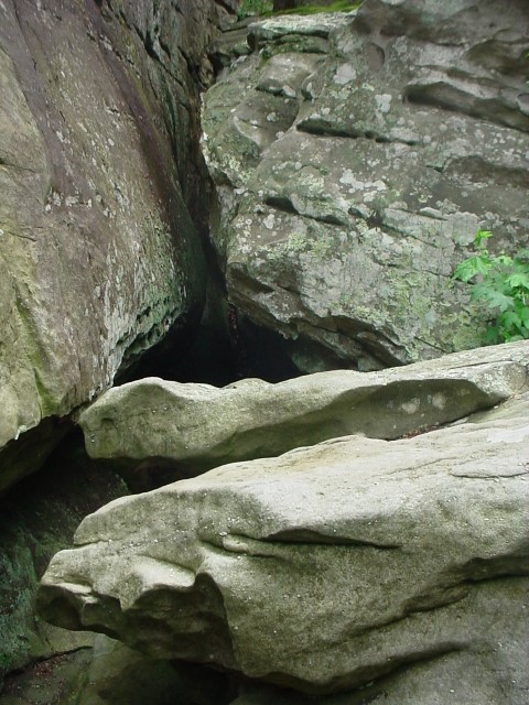DSC00026.JPG