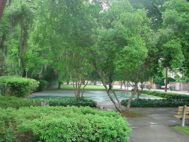 DSC00052.JPG