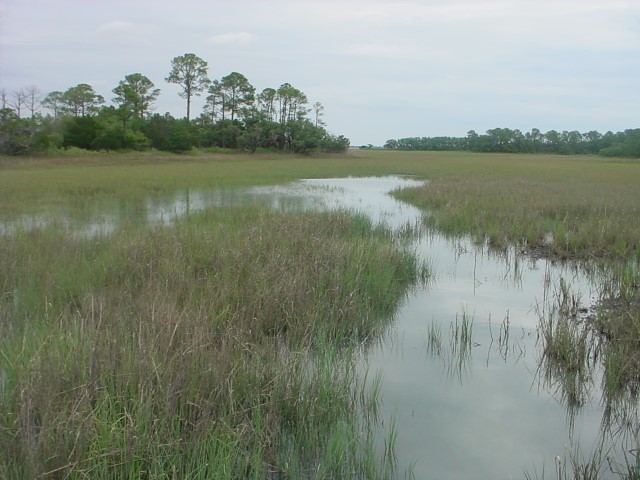 DSC00125.JPG