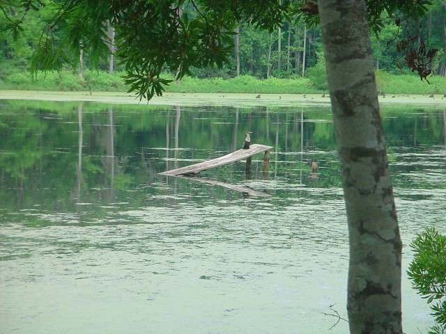 DSC00241.JPG