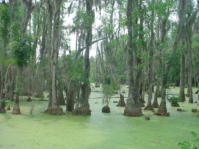 DSC00245.JPG