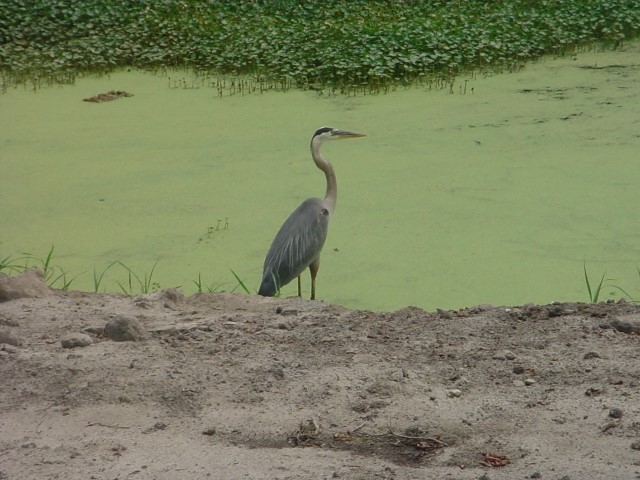 DSC00249.JPG