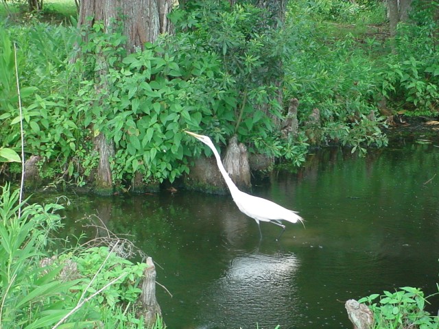 DSC00253.JPG