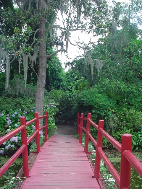DSC00256.JPG