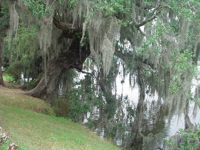 DSC00258.JPG