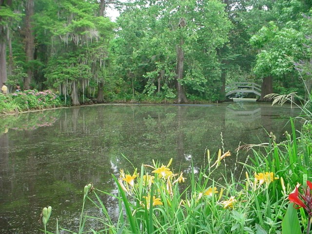 DSC00259.JPG