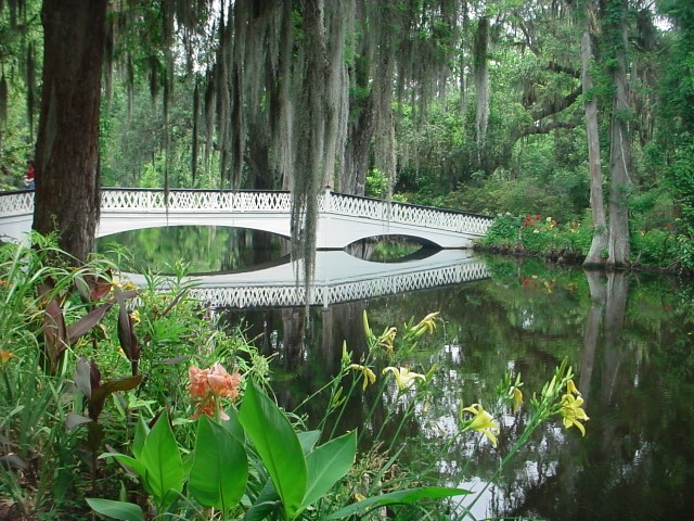 DSC00261.JPG