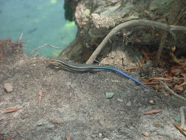 DSC00267.JPG