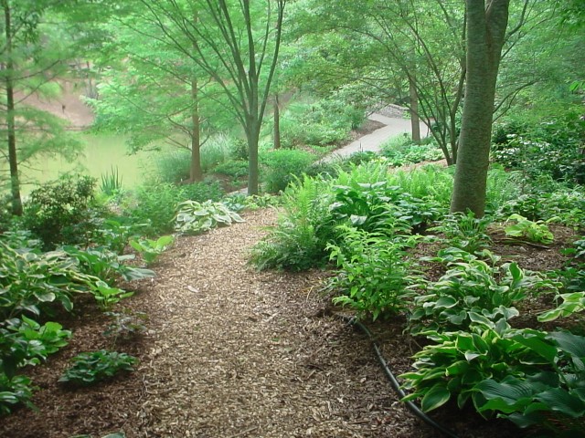 DSC00322.JPG