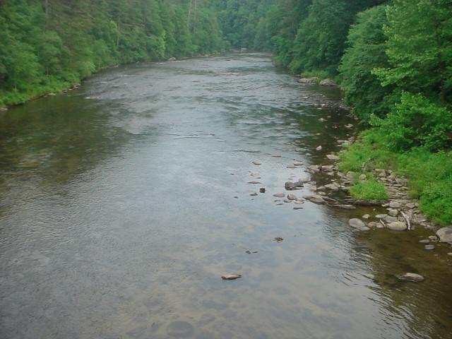 DSC00323.JPG