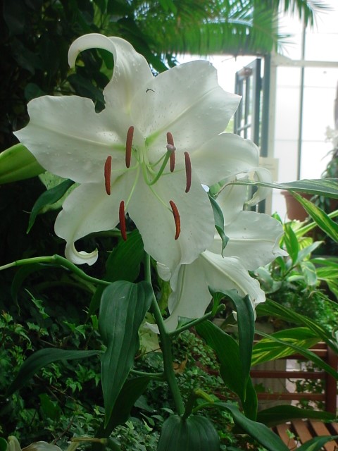 DSC00351.JPG