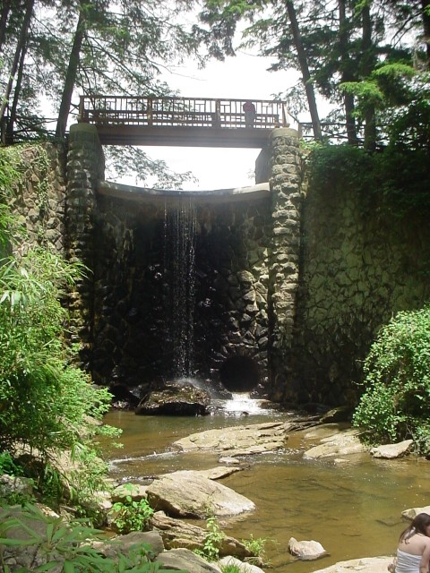 DSC00356.JPG