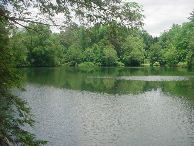 DSC00357.JPG