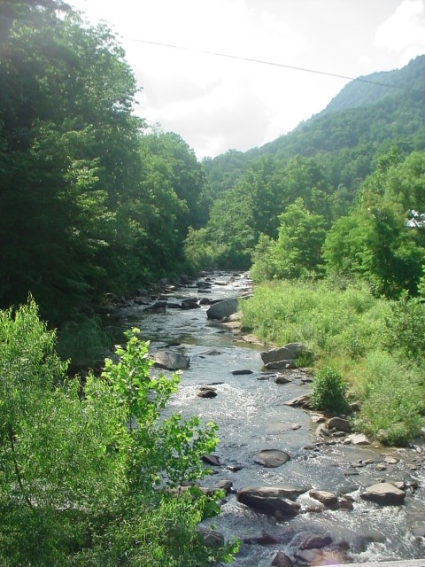DSC00361.JPG