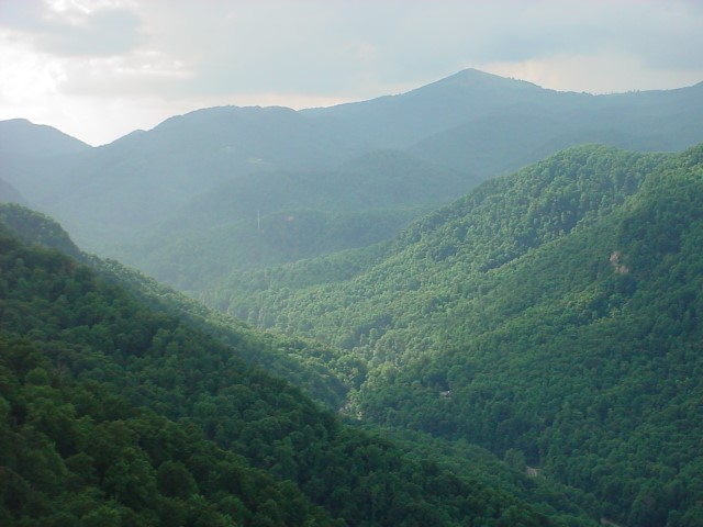 DSC00370.JPG