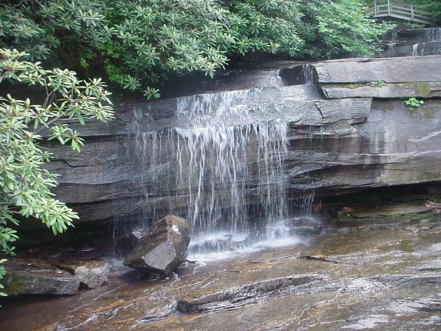 DSC00373.JPG