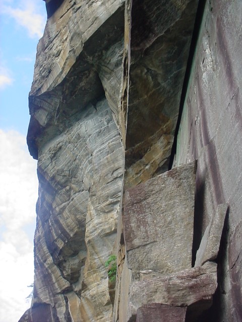DSC00376.JPG