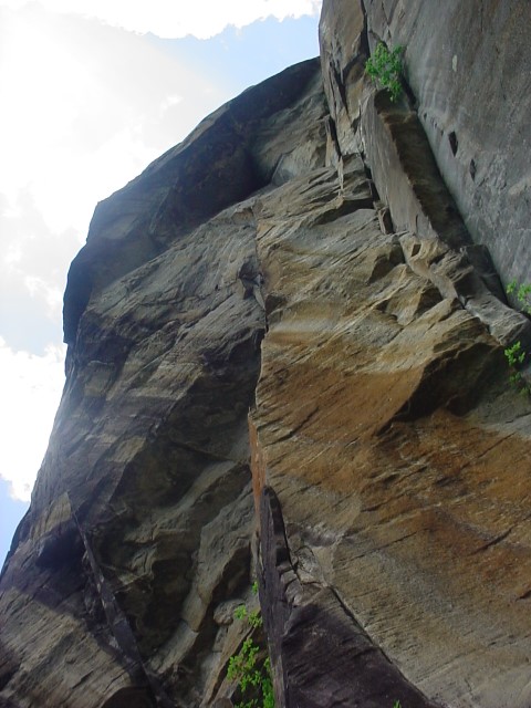 DSC00377.JPG