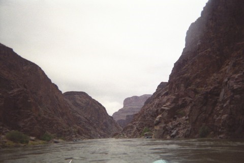 IMG_1185AE.jpg