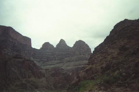 IMG_1185BC.jpg