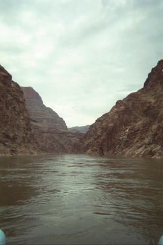 IMG_1185BD.jpg