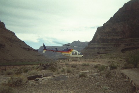 IMG_1185BL.jpg