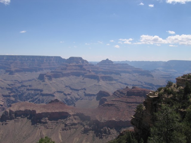 IMG_1260.JPG